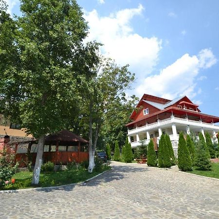 Vila Ioana Villa Buşteni Exterior foto